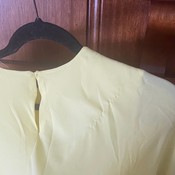 Zara Basic Collection Lemon Dress - Picture 5 of 5